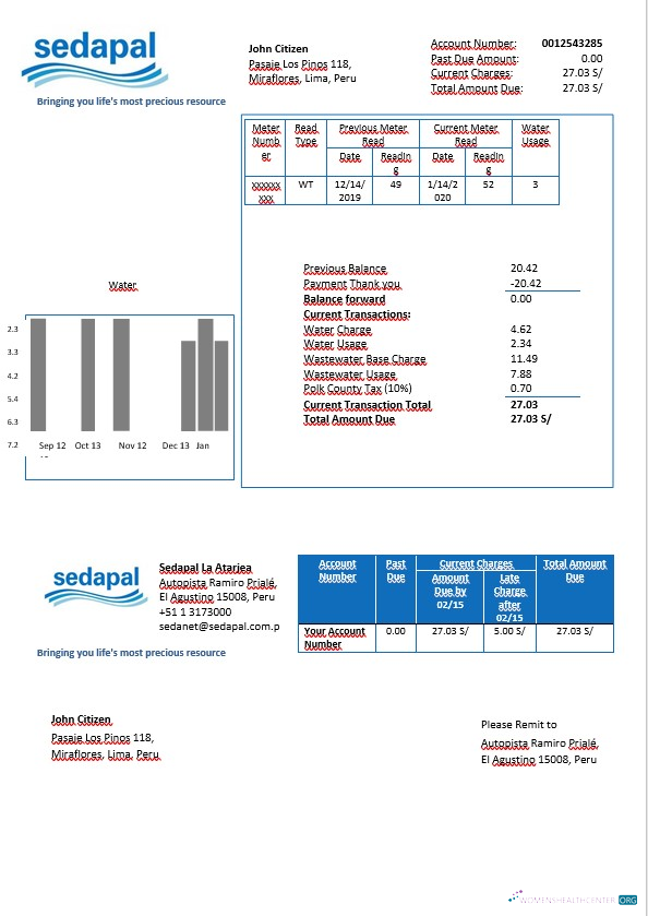 download download Peru Sedapal La Atarjea water utility bill in Word format
